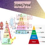 Ecological Pyramid Chart